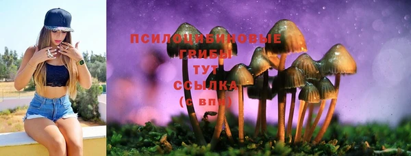 ECSTASY Сосновка