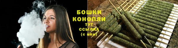 mdpv Елизово