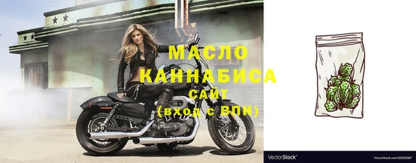 дмт Дмитриев