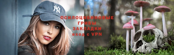 первитин Дмитров