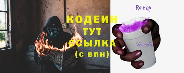 mdpv Елизово