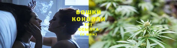 дмт Дмитриев