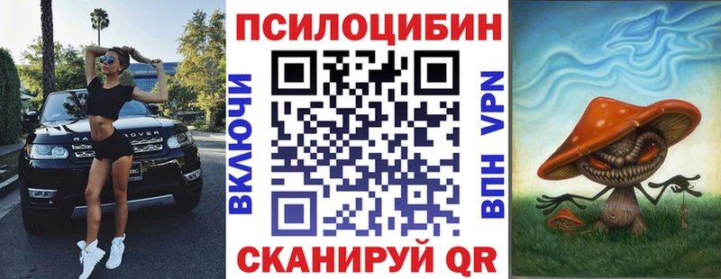 Галлюциногенные грибы Psilocybine cubensis  закладка  Севск 